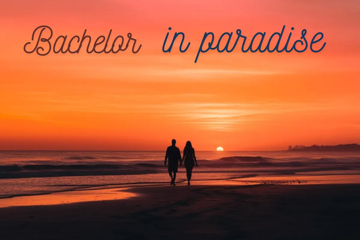 Bachelor in paradise